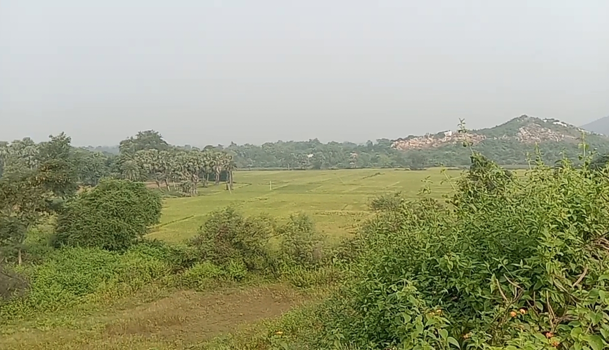 Land