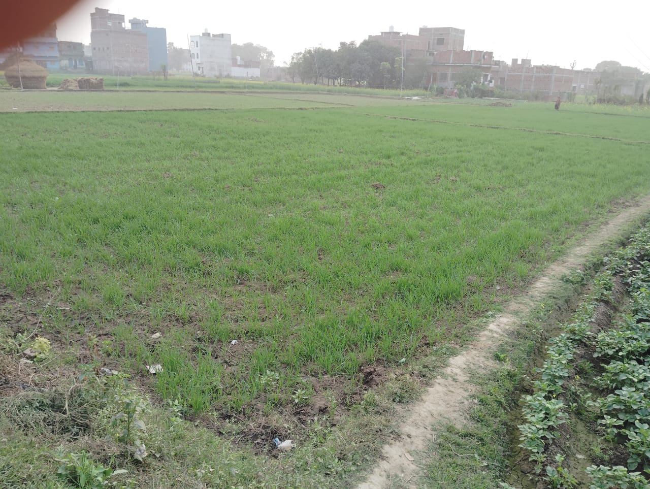 नालंदा सिलाव में ऑन-रोड प्लॉट्स बिक्री के लिए – प्राइम लोकेशन