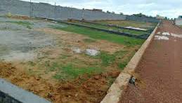 Land