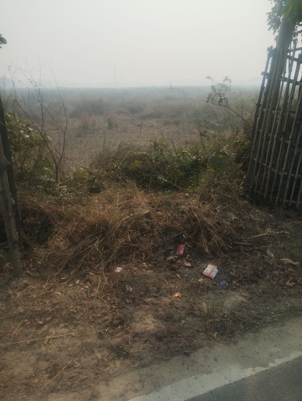 Land