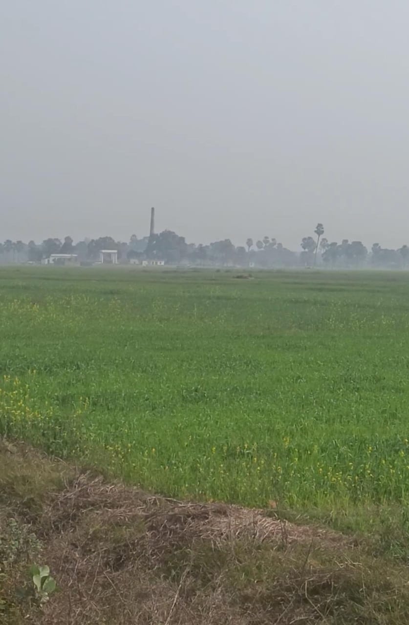 Land