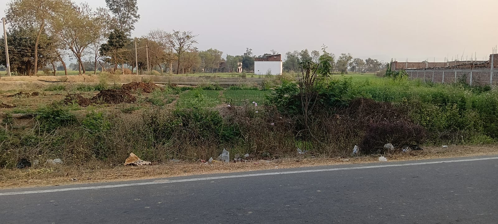 Land