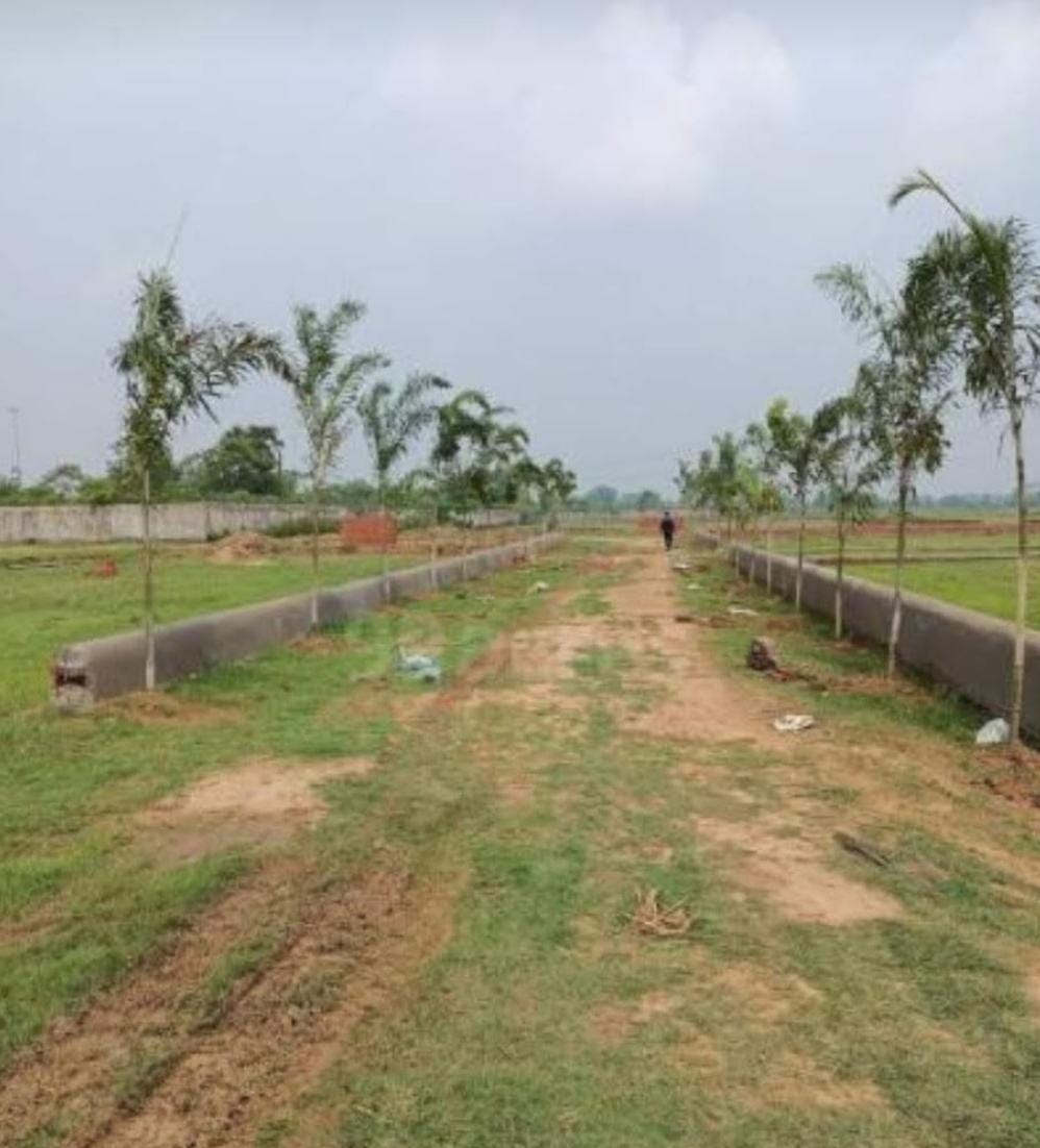 Land