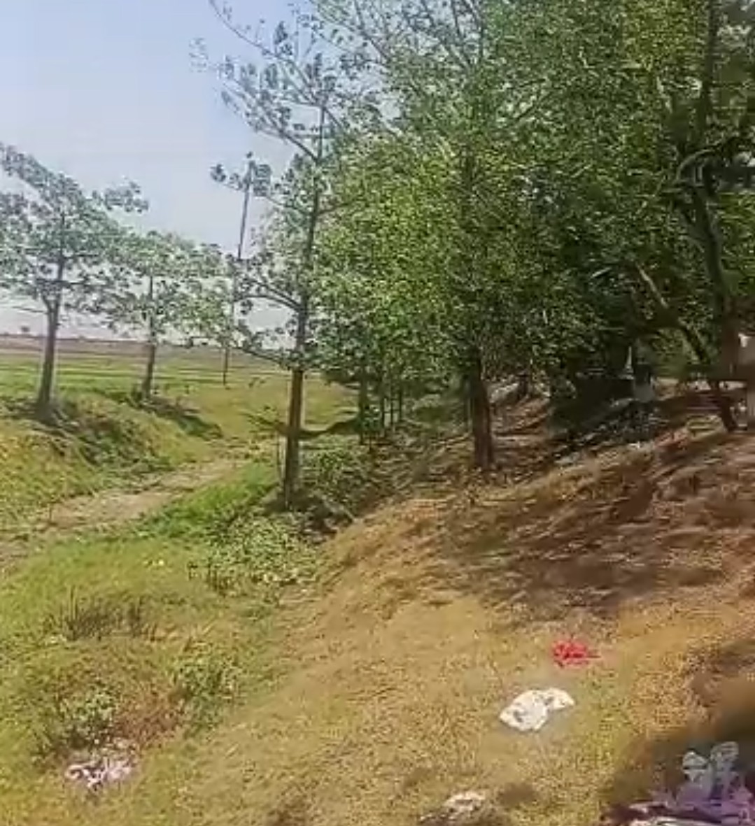 Land