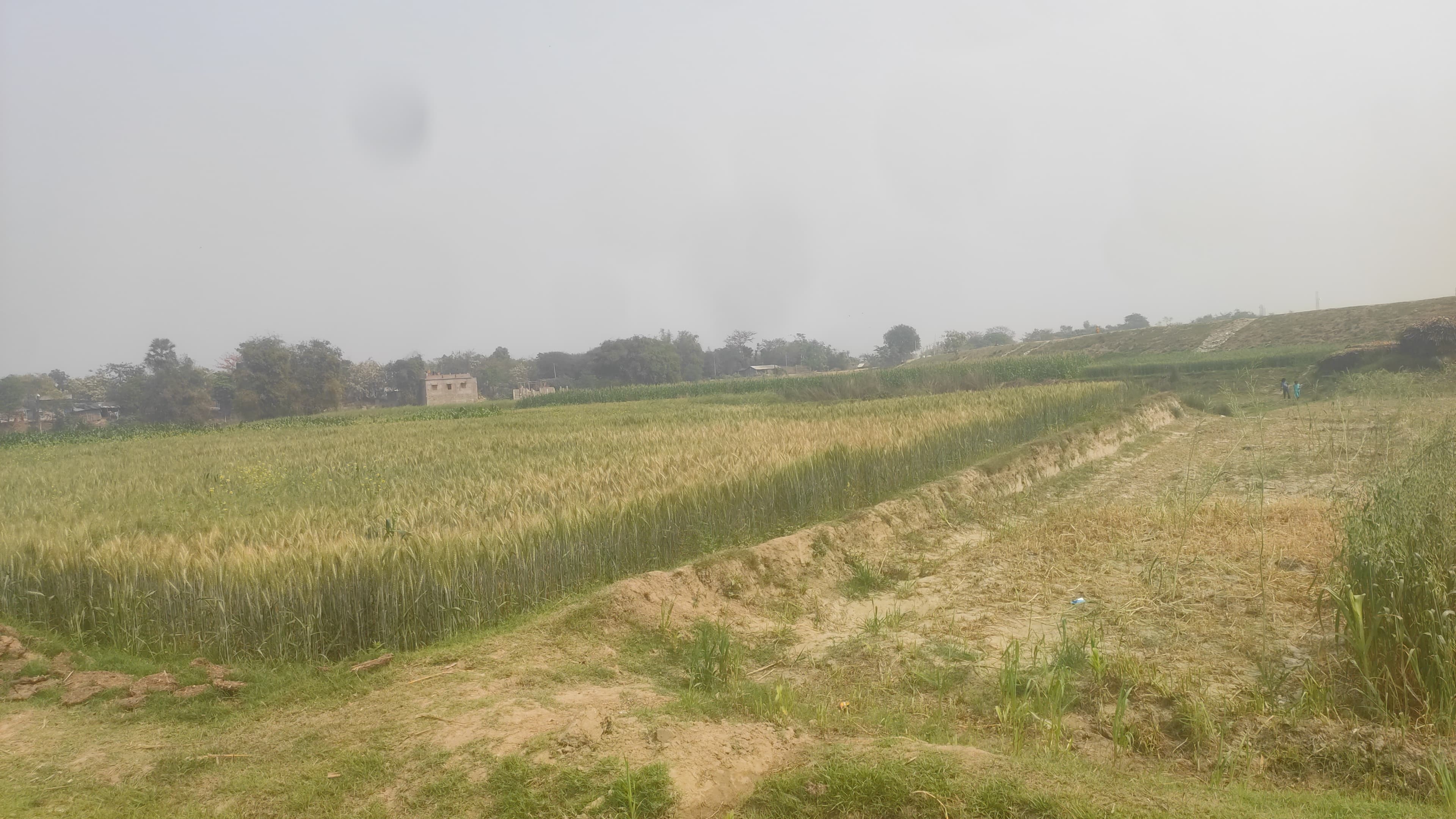 Land