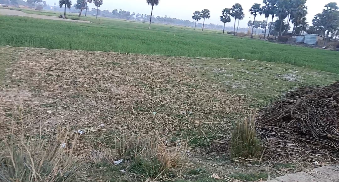 Land