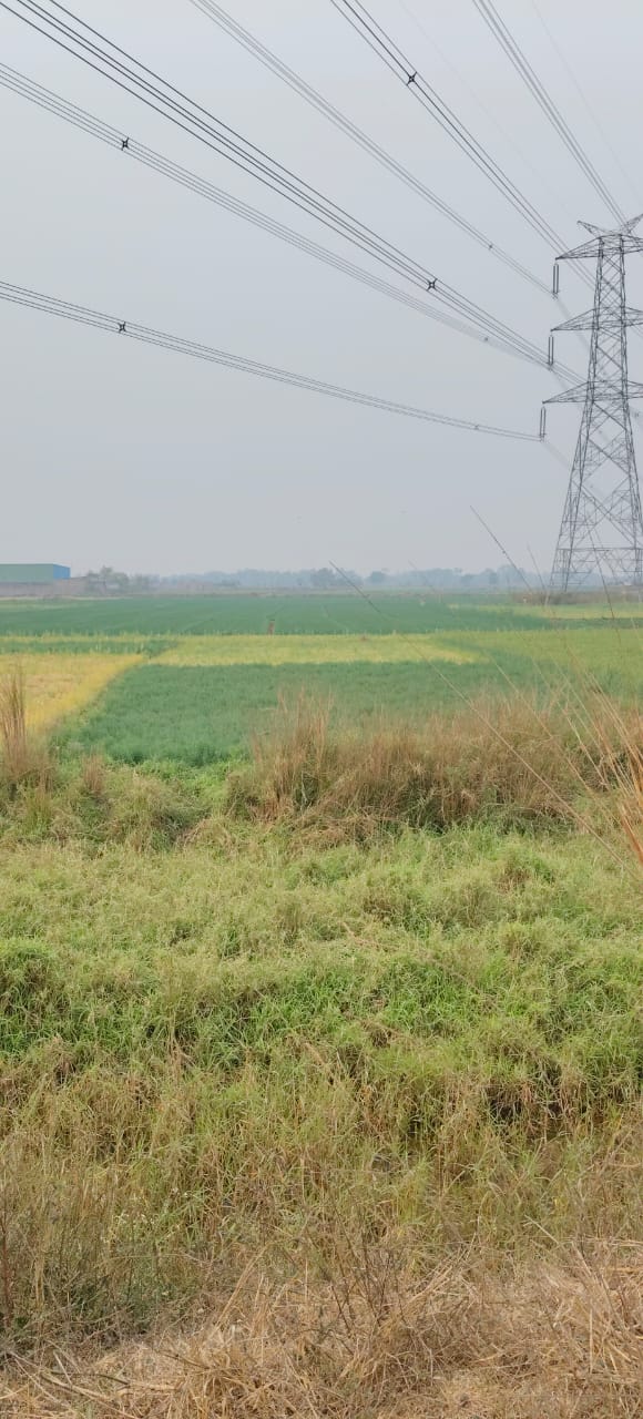 Land