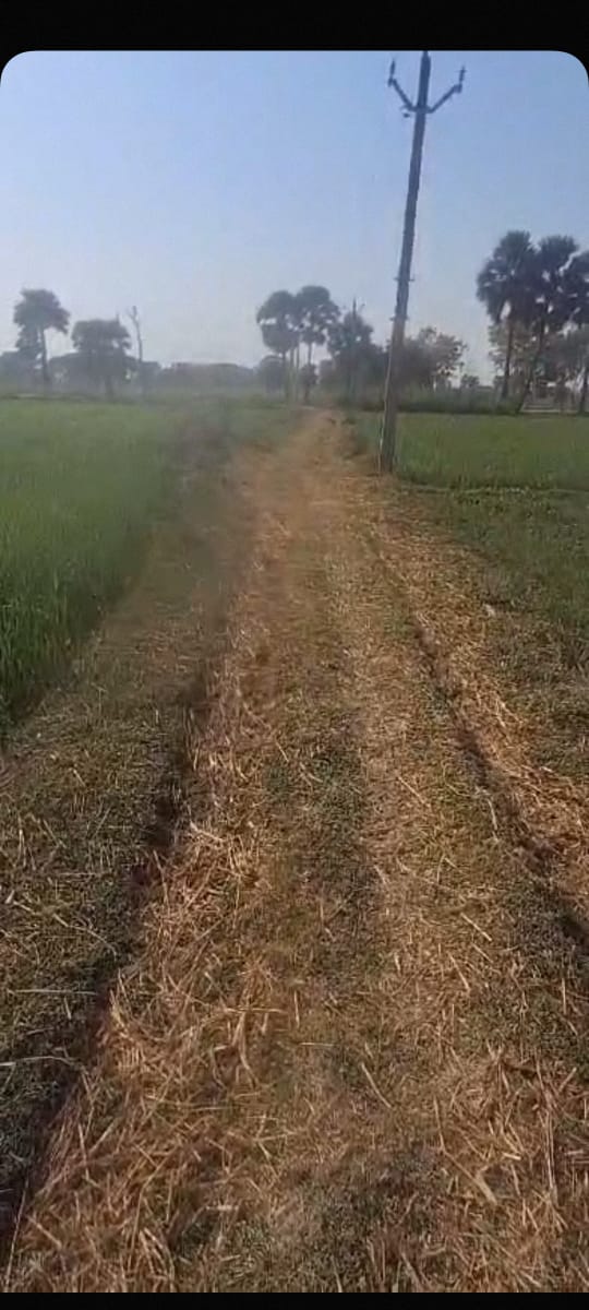 Land