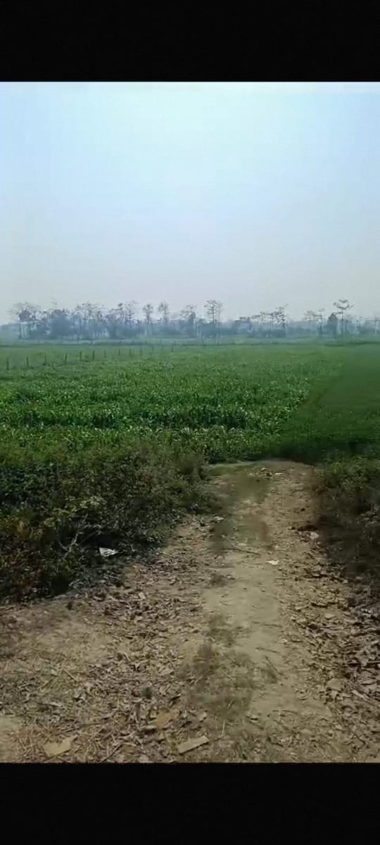 Land