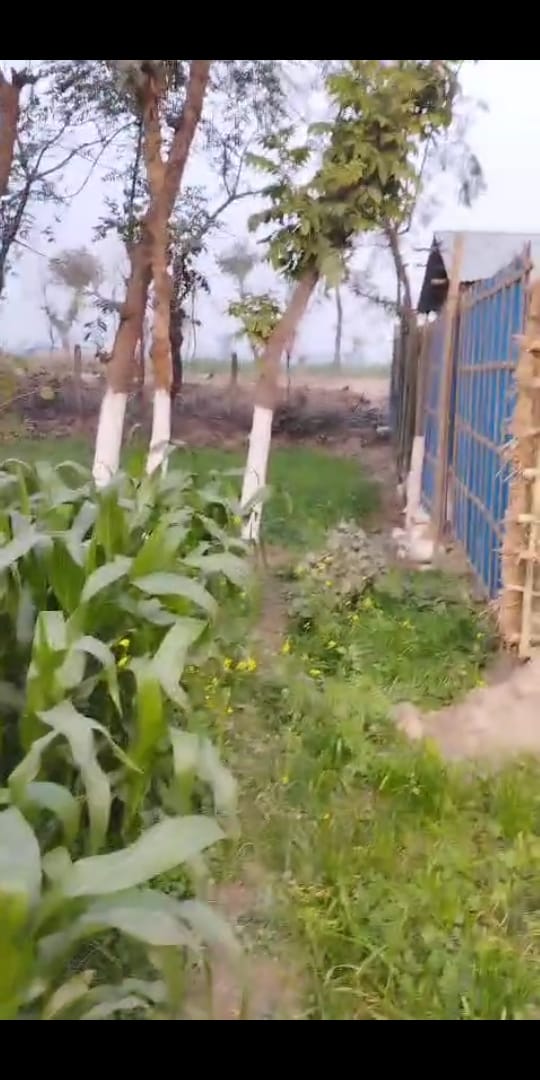 पूर्णिया जिले, कृत्यानंद नगर गणेशपुर में 6,20k लाख प्रति कठ्ठा जमीन बिक्री के लिए