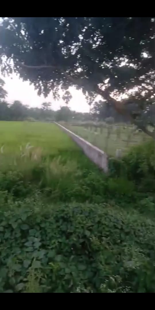 Land