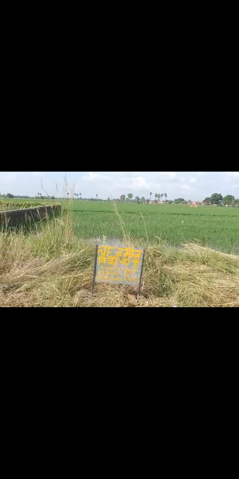 Land