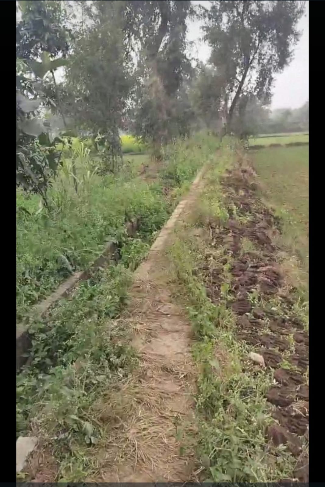 Land