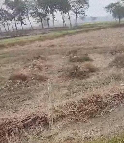 Land