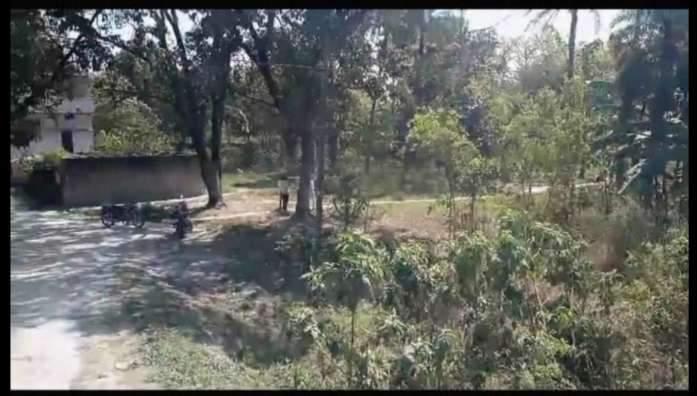 Land