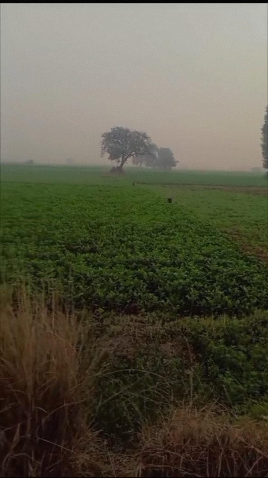 Land