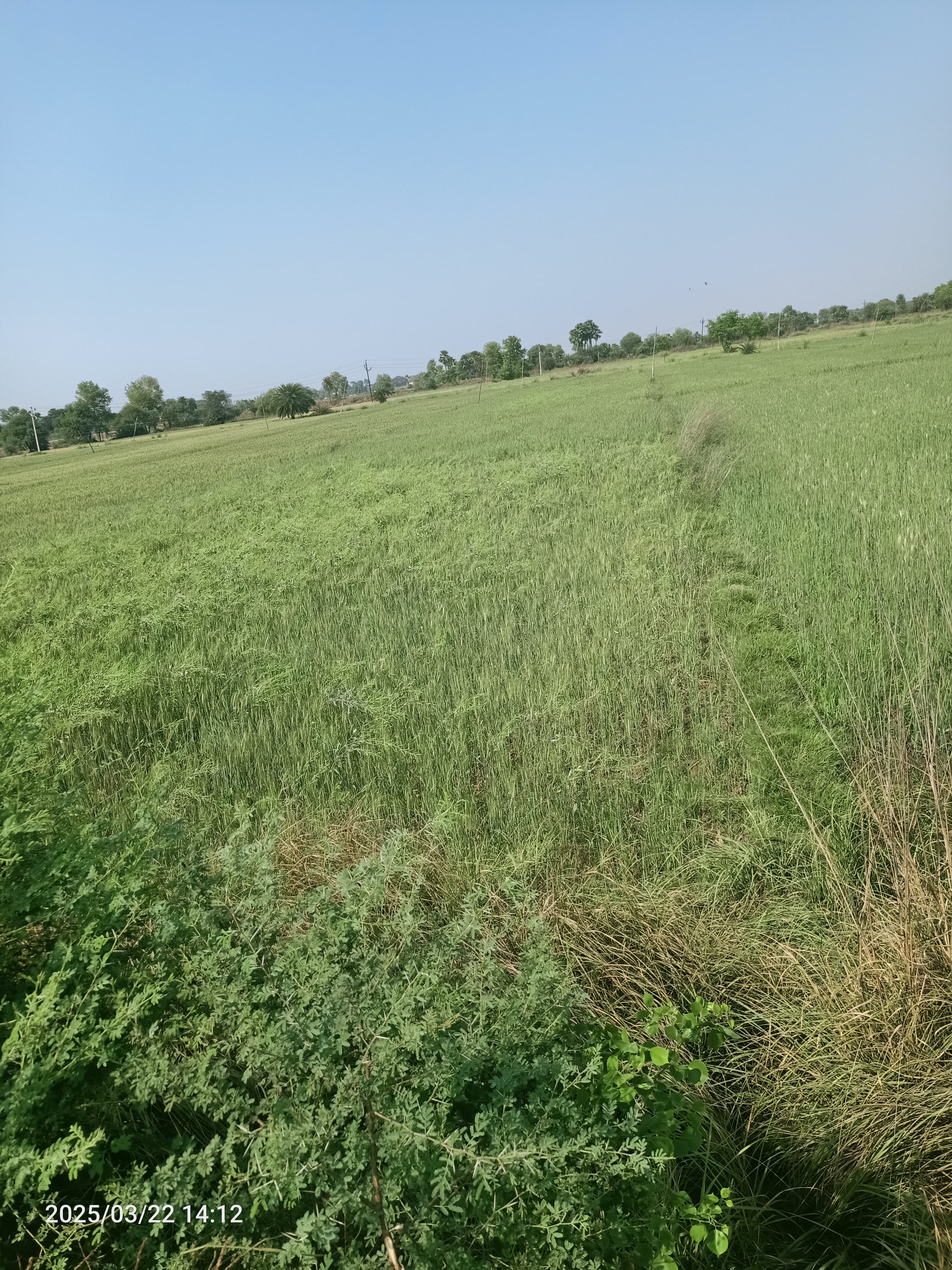 Land