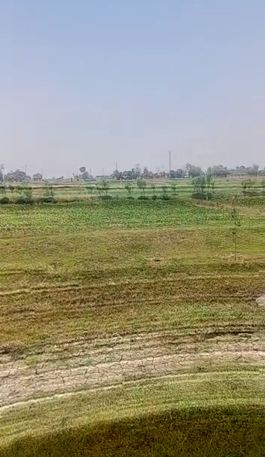 Land