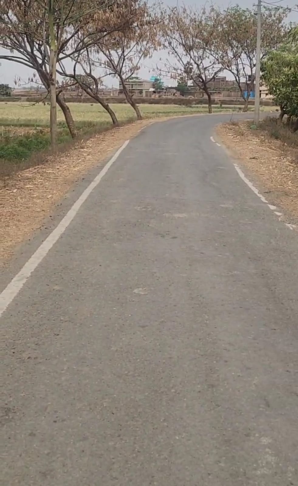 Land