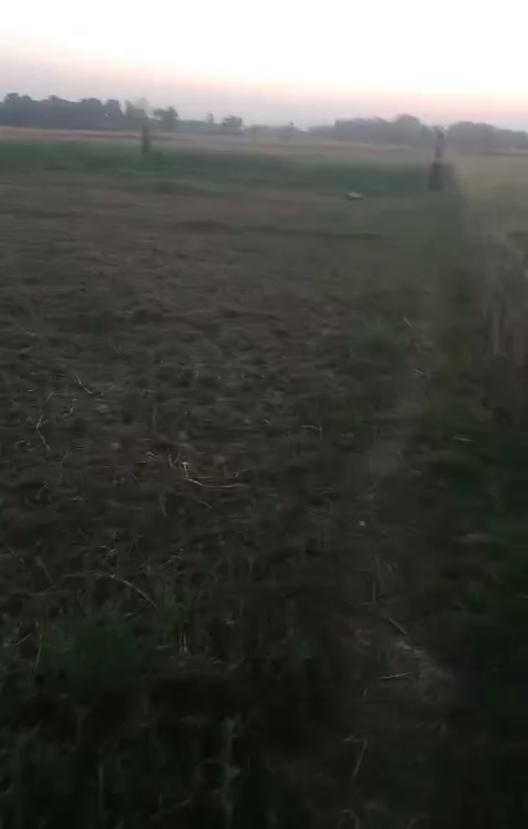 Nalanda, हिलसा में 5 लाख 50 हजार रुपये प्रति कट्ठा में ज़मीन बिक्री के लिए उपलब्ध