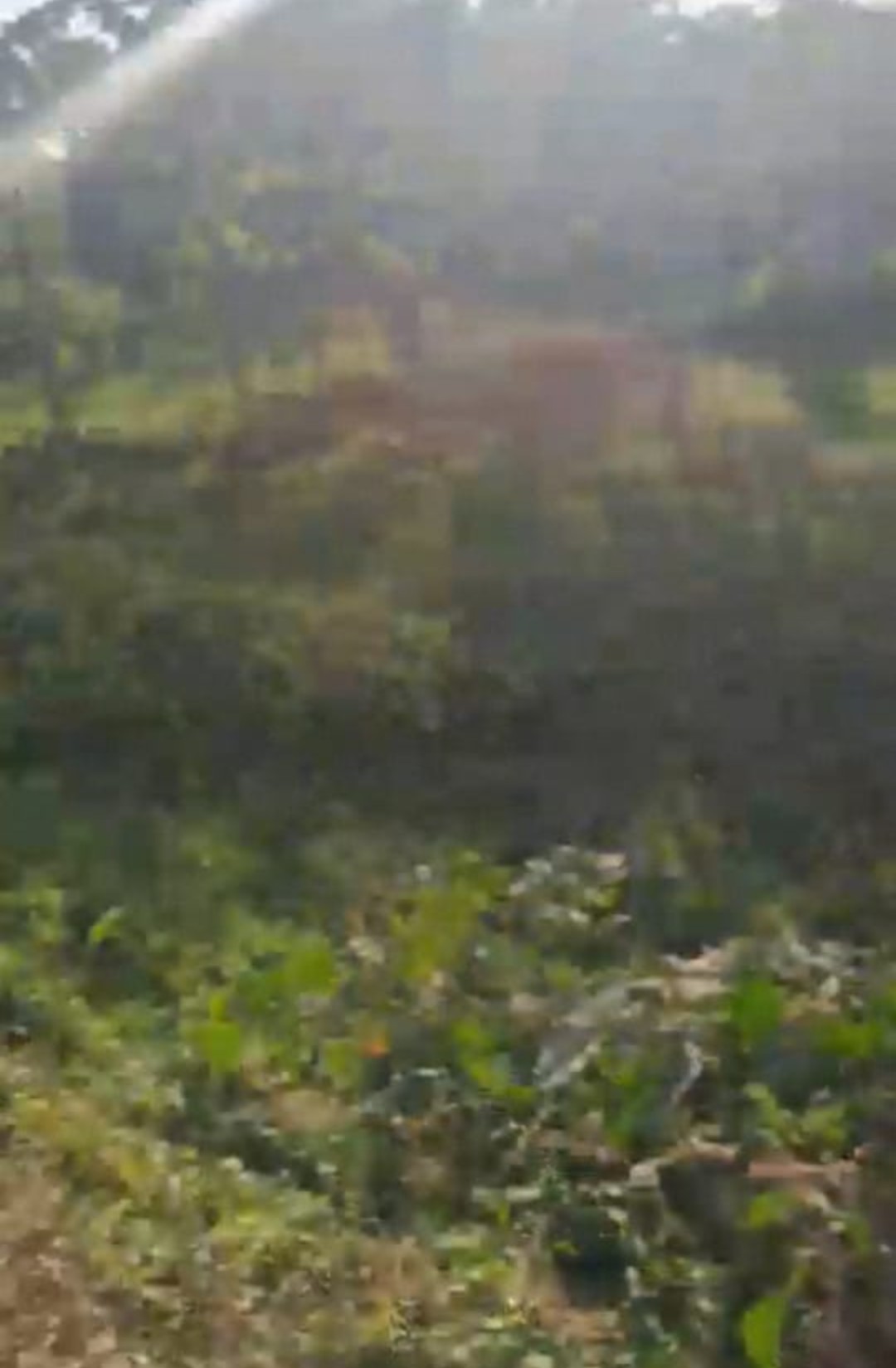 Land