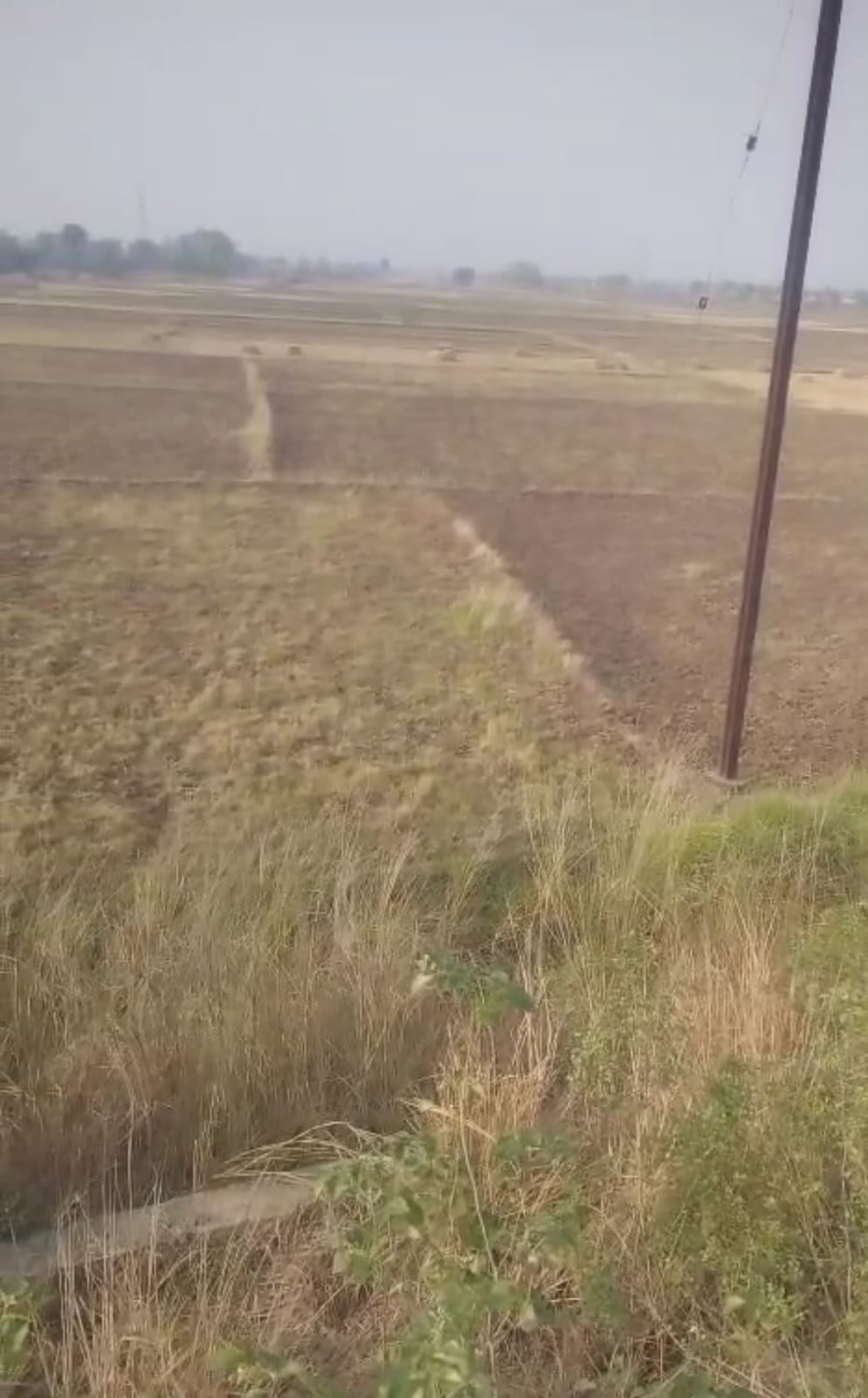 Land