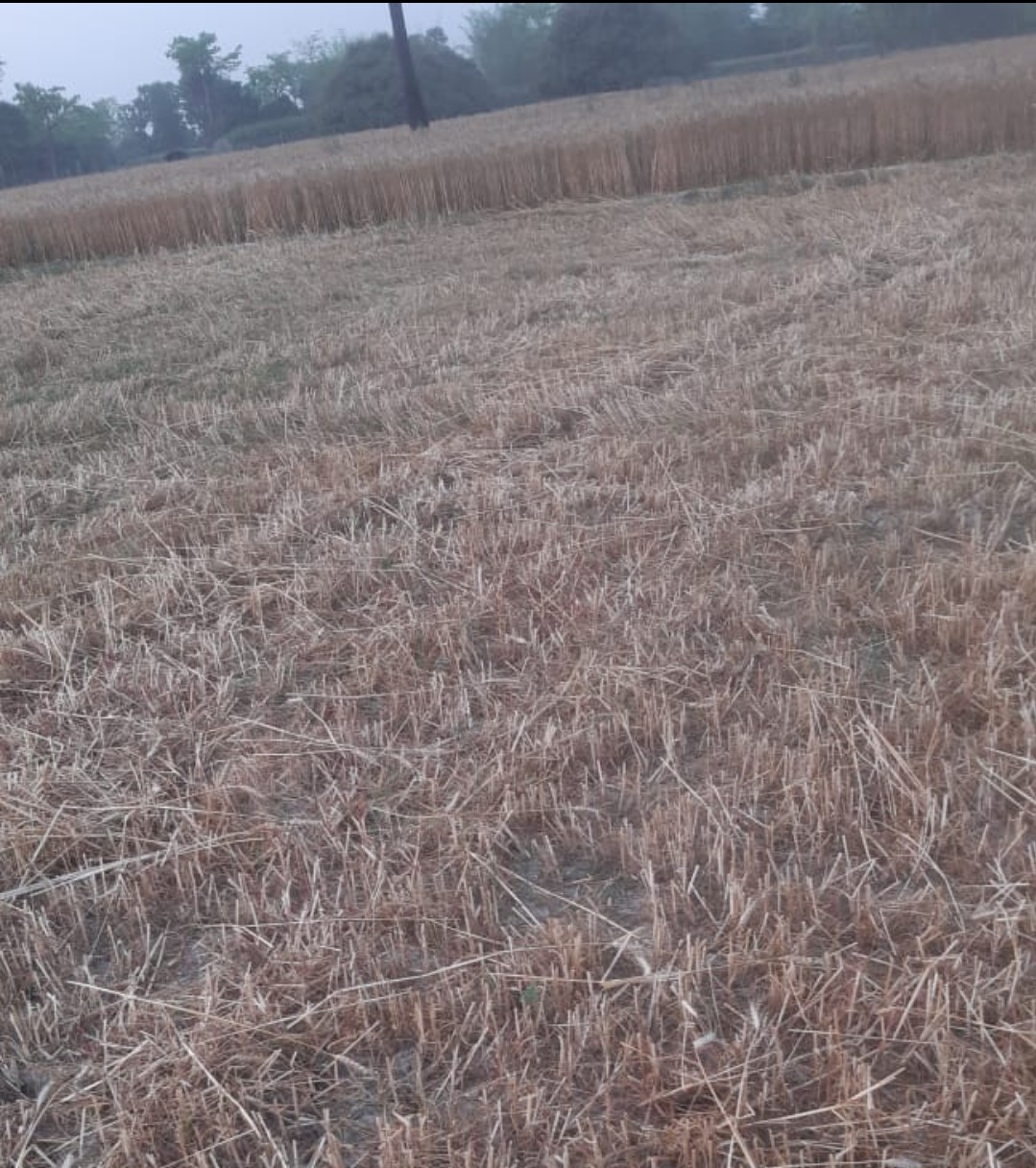 मुजफ्फरपुर के बोचाहा-पटियासा में आसा चौक के पास, ₹18 लाख/कट्ठा में ज़मीन बिक्री हेतु