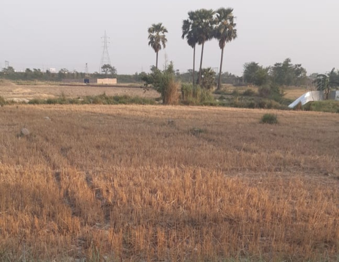 मुजफ्फरपुर जिले के मुसहरी प्रखंड के जमालाबाद में जमीन बिक्री – सिर्फ ₹6 लाख प्रति कट्ठा