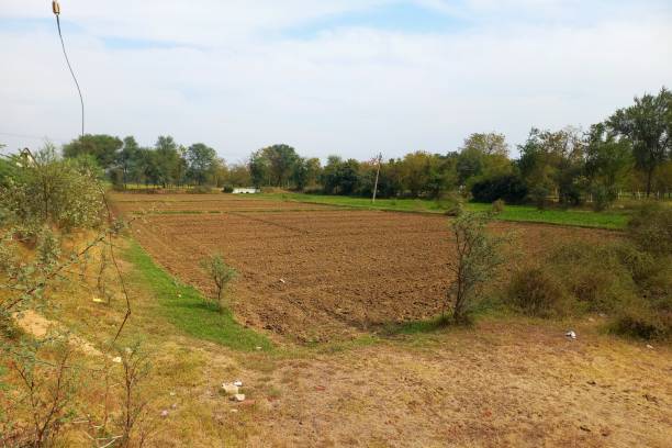 Land