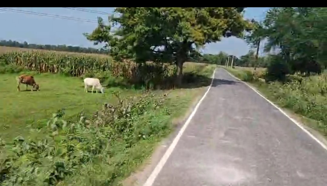 अररिया जिला के लहाना  में ₹25 लाख प्रति एकड़ में ज़मीन बिक्री हेतु उपलब्ध