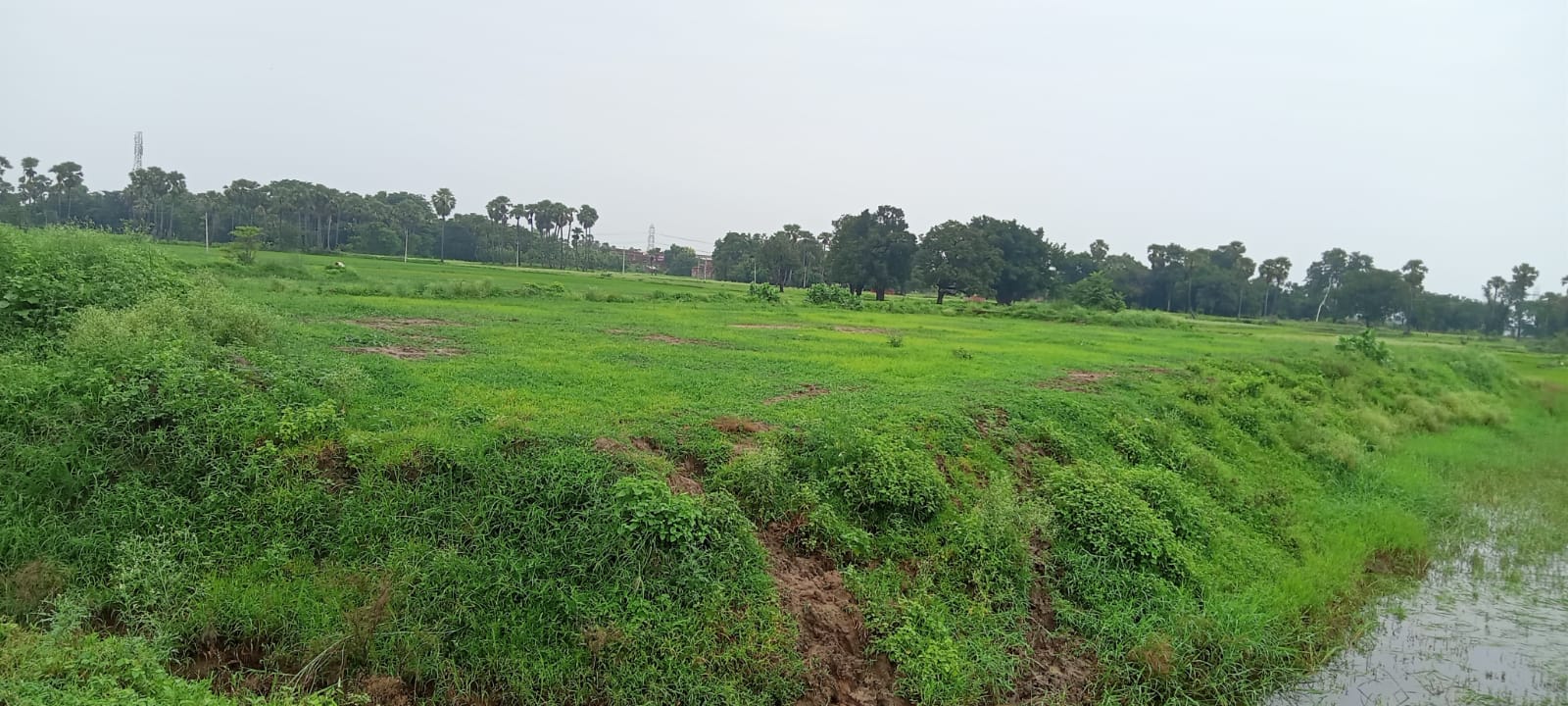 Land