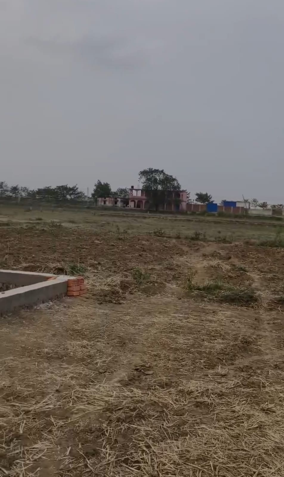 Land