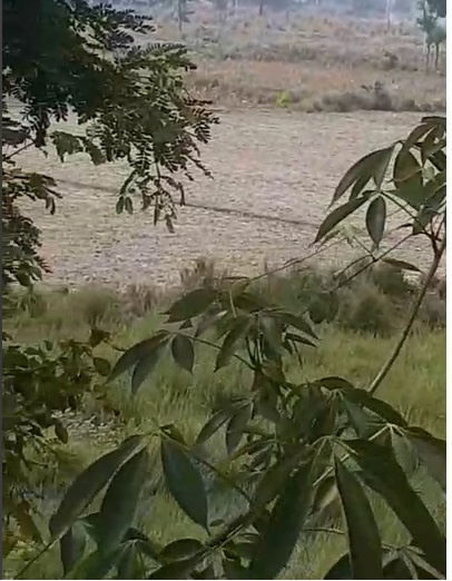 मुजफ्फरपुर के गायघाट अंचल में ₹4 लाख प्रति कट्ठा में ज़मीन बिक्री के लिए उपलब्ध