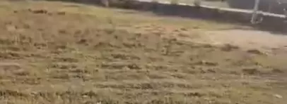 जमुई, दिल्ली पब्लिक स्कूल के पास, ₹15 लाख डिसमिल में उपलब्ध –प्लॉट बिक्री हेतु शानदार मौका 