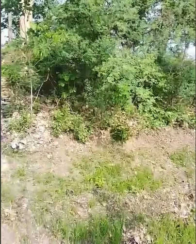 भभुआ-मोहानिया स्टेट हाईवे पर ₹10 लाख प्रति डिसमिल में प्रीमियम प्लॉट बिक्री के लिए उपलब्ध!