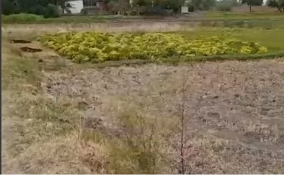 भभुआ (कैमूर, बिहार) में 50 Dismil जमीन मात्र ₹35 लाख में बिक्री हेतु उपलब्ध