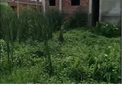 भोजपुर ज़िले के उदवंतनगर एकौना के पास आवासीय ज़मीन बिक्री के लिए – ₹ 54 लाख प्रति कट्ठा में उपलब्ध