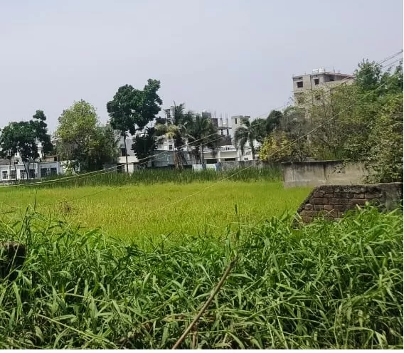 Land
