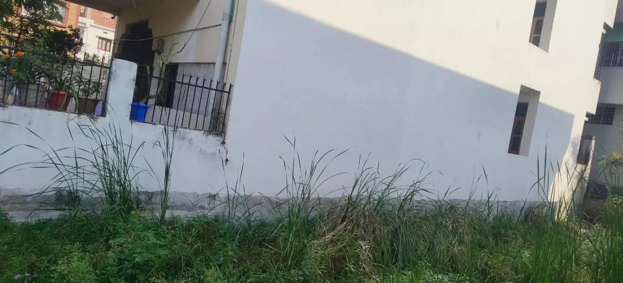 Land