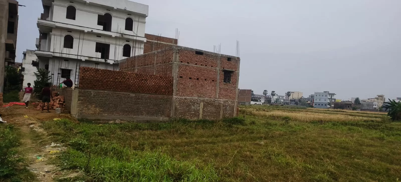 Land