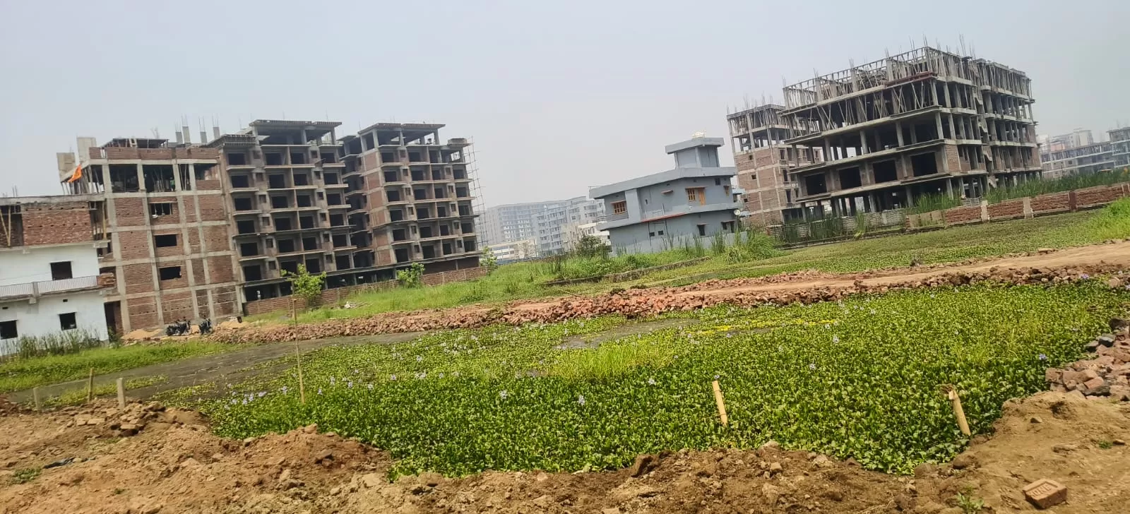 Land