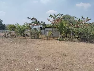 Land