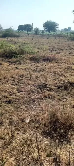 Land