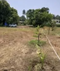 Land