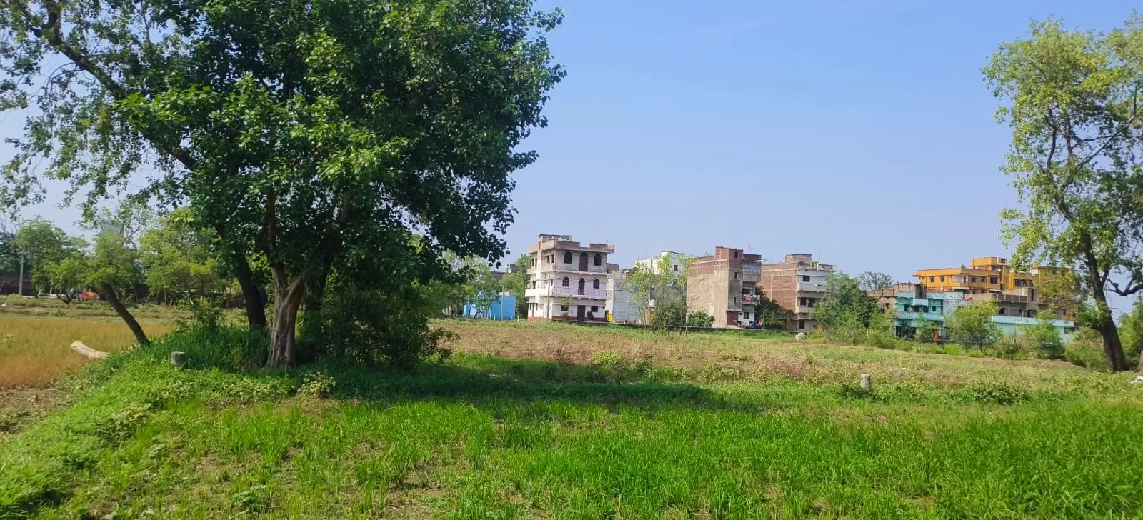 Land