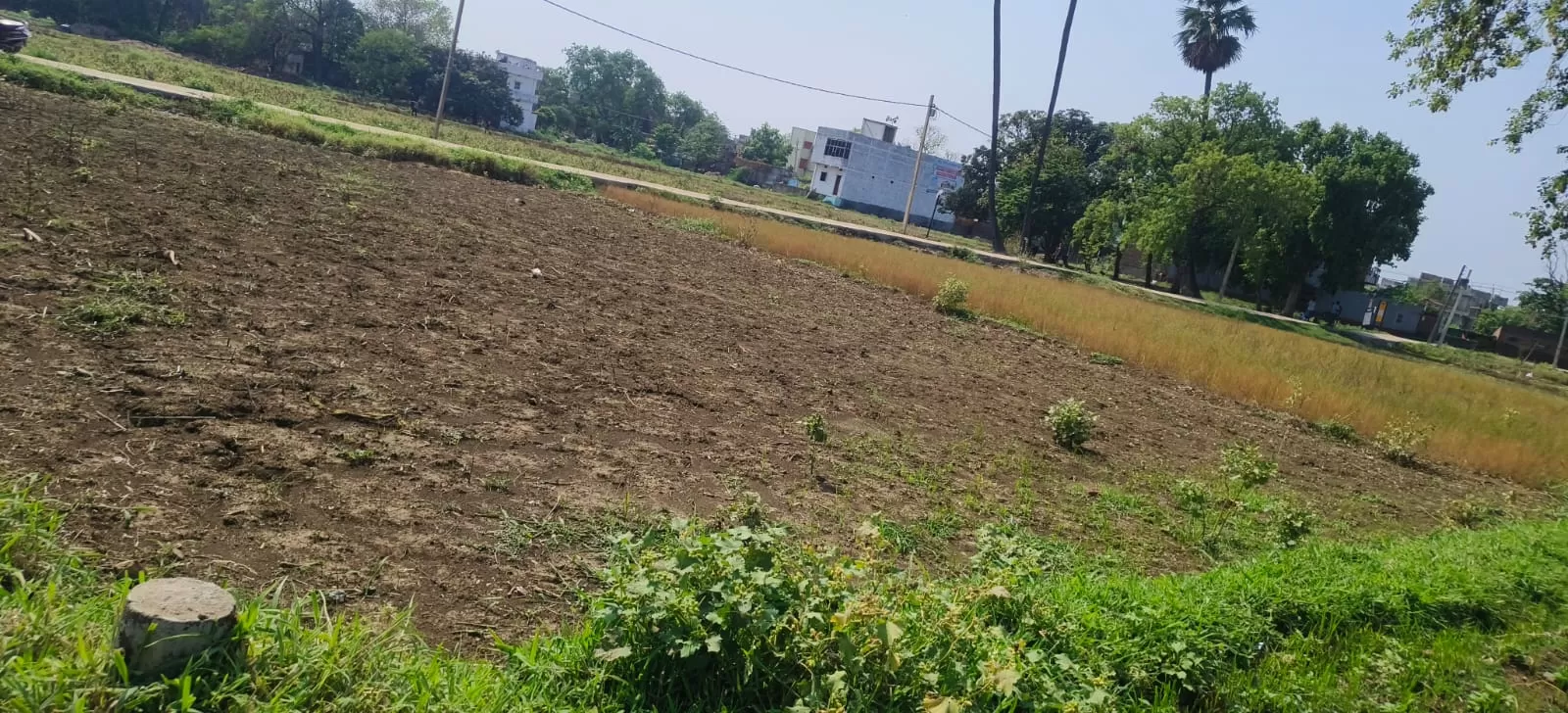 Land
