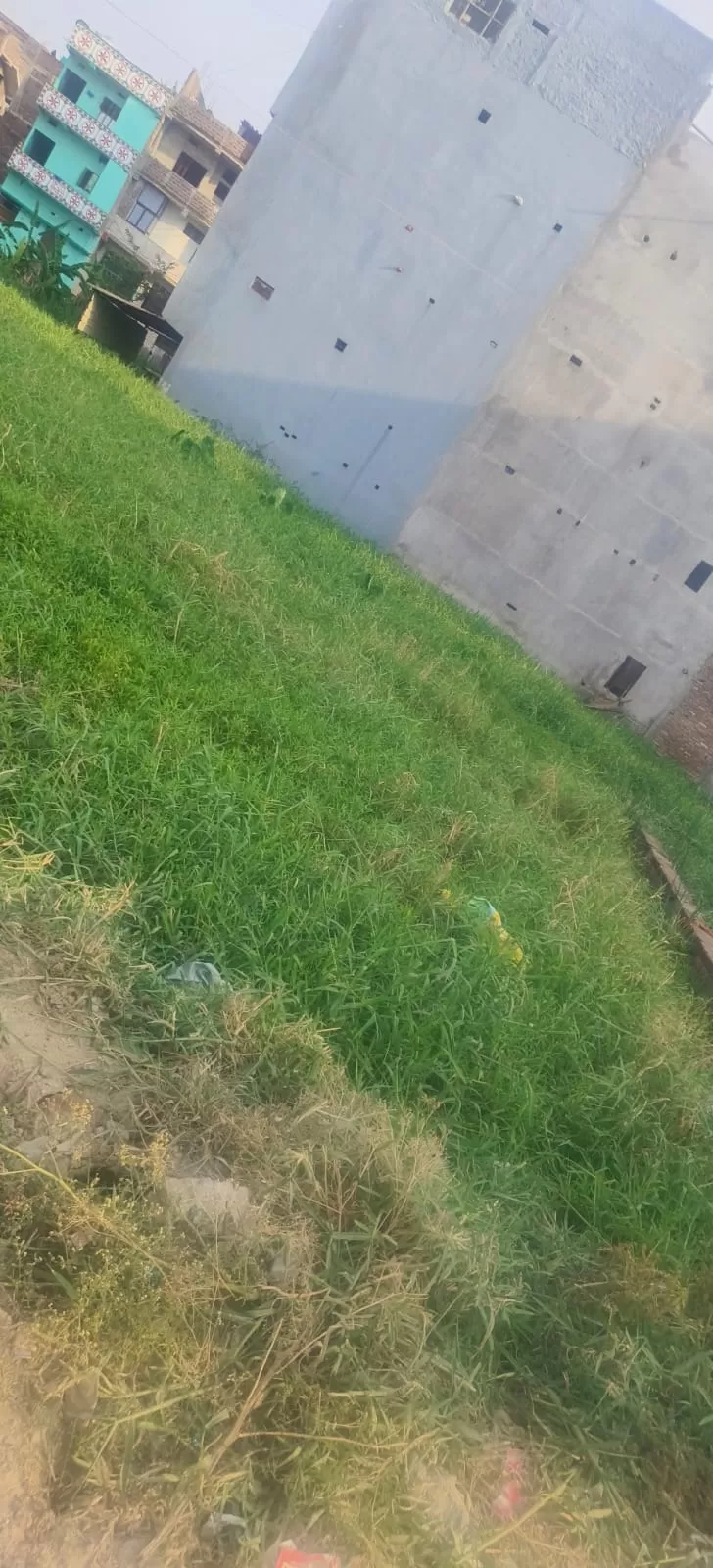 Land